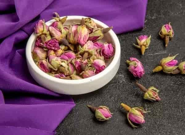 خرید گل محمدی اصلاح شده + قیمت فروش استثنایی